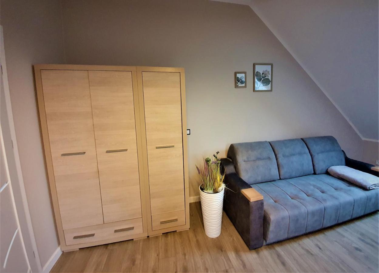 Apartament Nad Jeziorem Welle コウチェボ エクステリア 写真