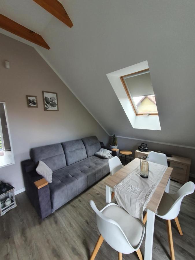 Apartament Nad Jeziorem Welle コウチェボ エクステリア 写真